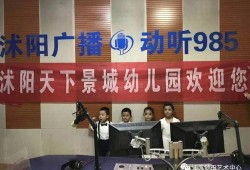 沭阳电视台爆料事件视频,真相揭露，舆论漩涡中的真相追踪